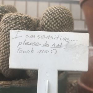 Meet your Posher, Katherine